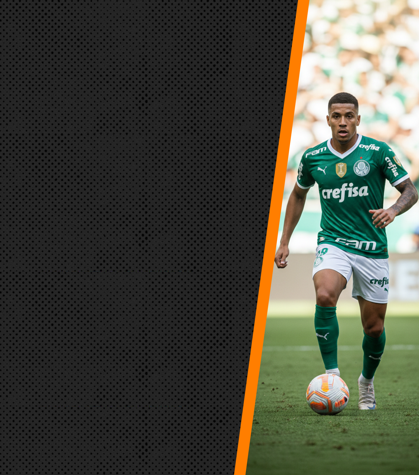 Palmeiras