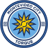 Torque